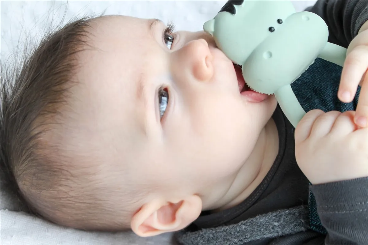 Mordedor de caucho hippo - Imagen 4